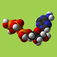 Metabolisches Syndrom und CBD