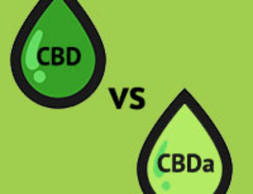 Was ist der Unterschied zwischen CBD und CBDa?