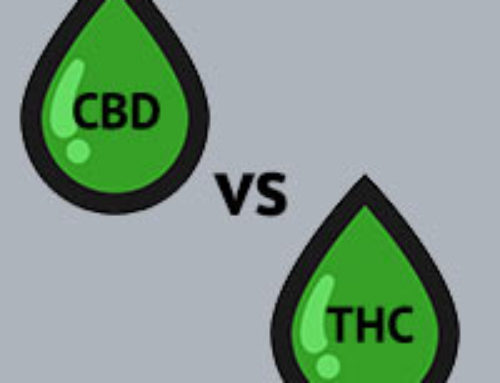 Was ist der Unterschied zwischen THC und CBD?